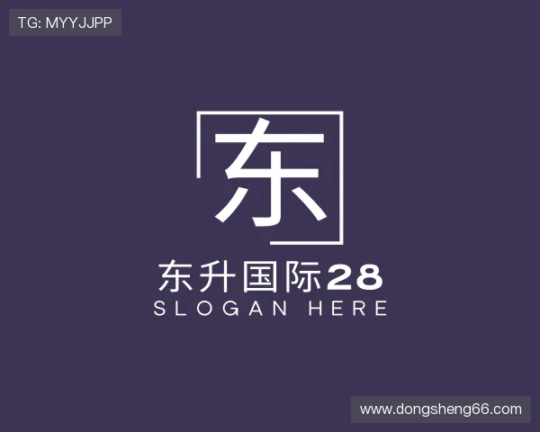 发展东升国际28